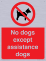 no-dogs-except-assistance-dogs~